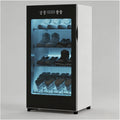 xueqiaolian1006 armoire, Noir/Argenté, sèche-chaussures électrique 60 °C, séchage rapide et éliminateur d'odeurs